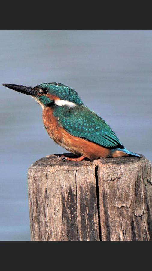 Ijsvogel Apartment, Duplex Family Home 4-Bed Located On The Largest Saltwater Lake بروينسي المظهر الخارجي الصورة